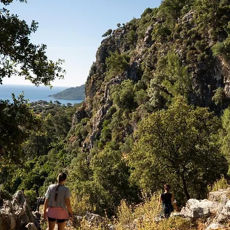 The Diplomat Turunç