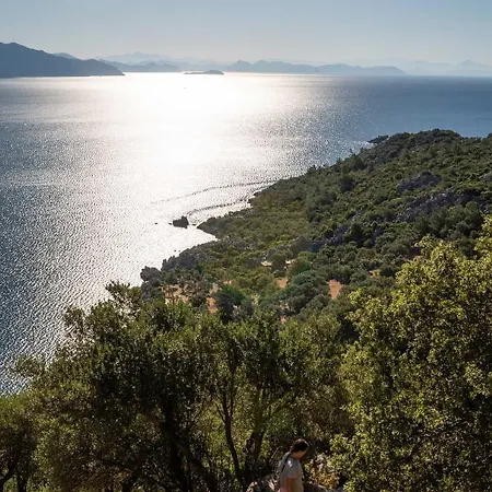 The Diplomat 2* Turunç