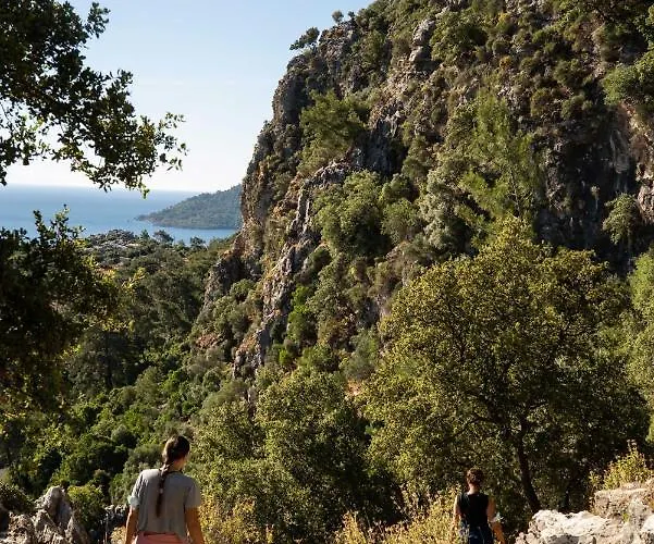 The Diplomat Turunç