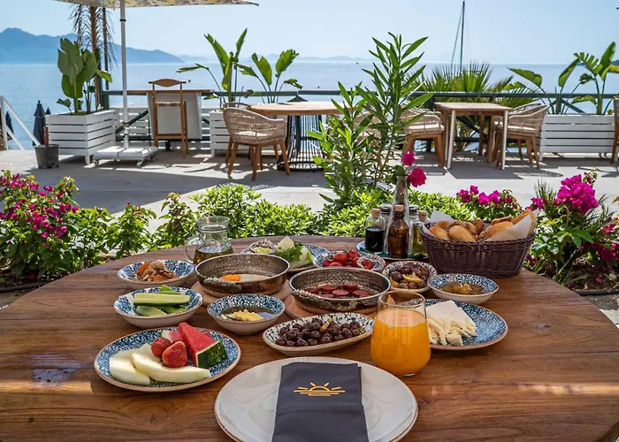 The Diplomat Turunç