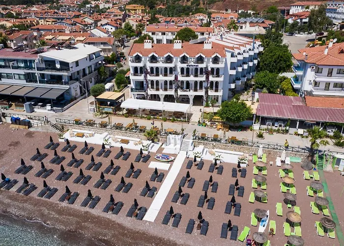 The Diplomat 2*