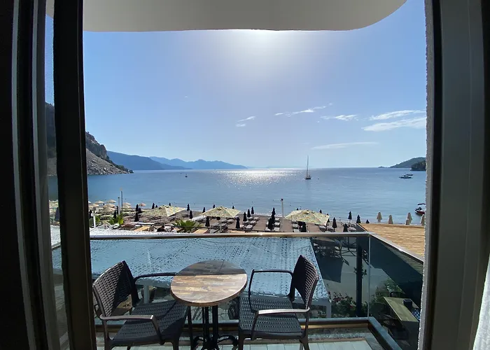 The Diplomat 2* Turunç