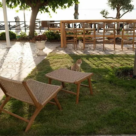 Hotell The Diplomat 3*