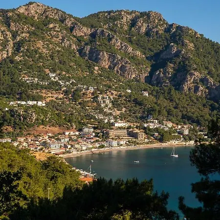 The Diplomat 투룬치